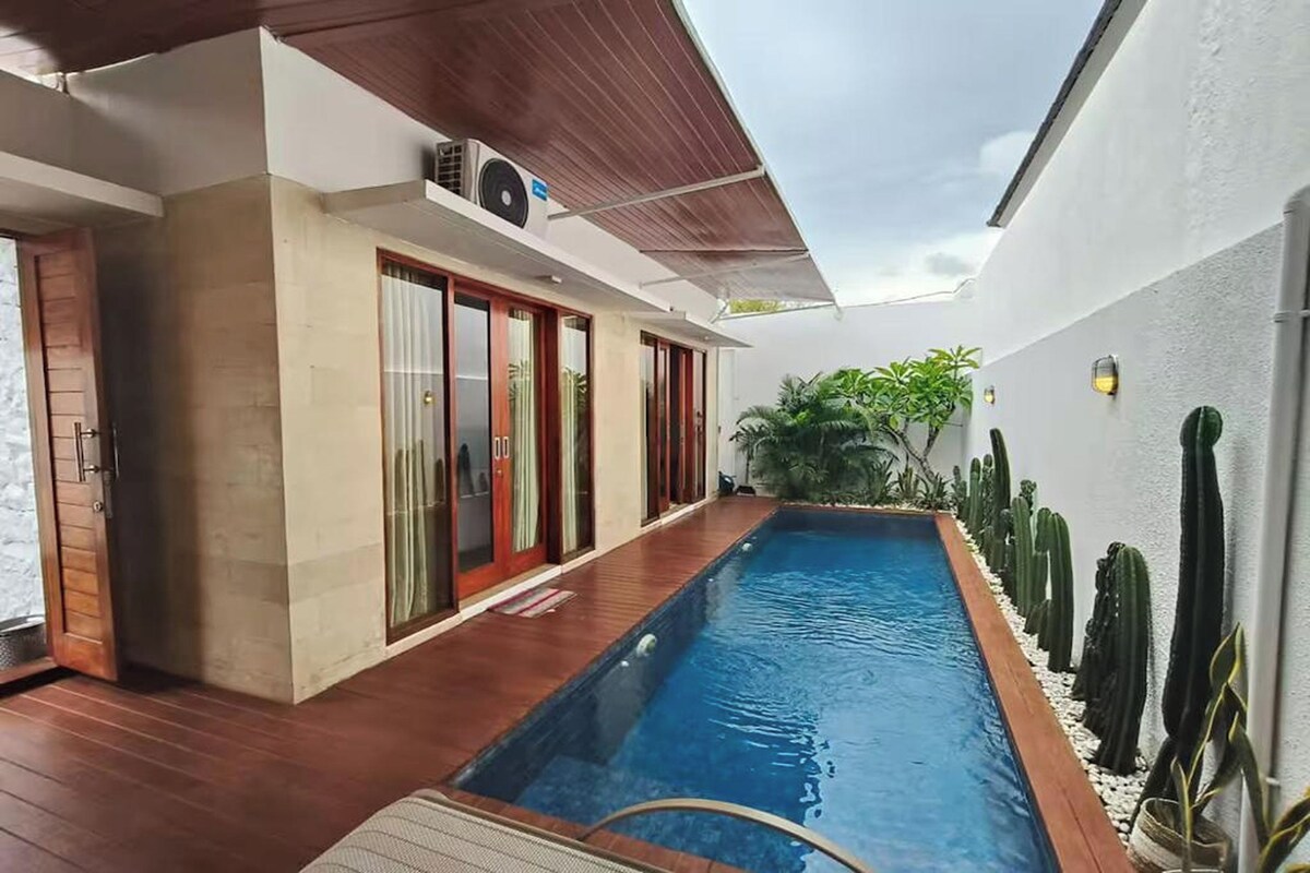 A modern pool area with a wooden deck, a built-in pool, and a row of cacti along the wall.