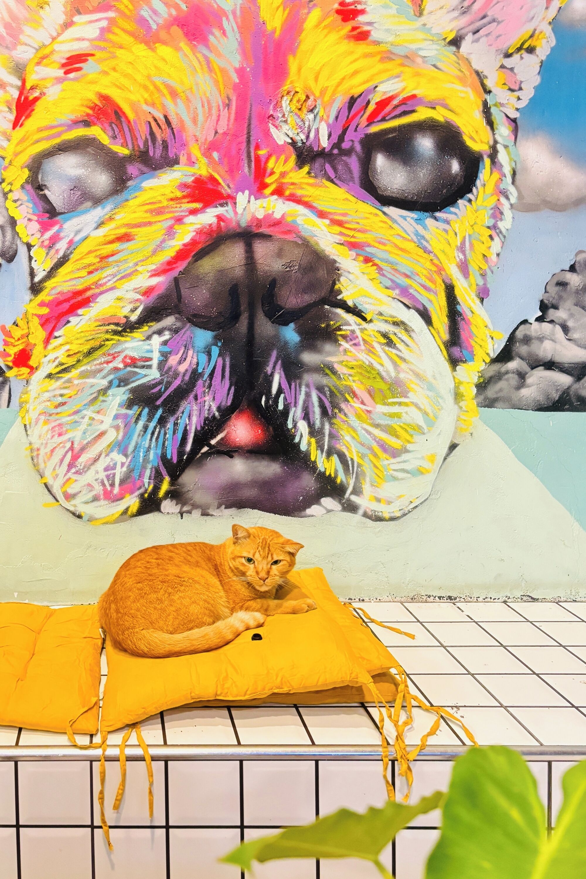 Een muurschildering van een kleurrijke hond, met een kat die op een geel kussen ligt.