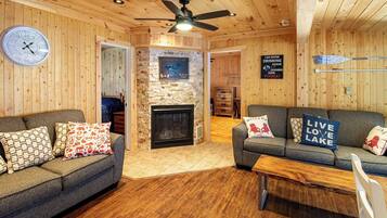 تلفزيون، مدفأة، شاشة كمبيوتر