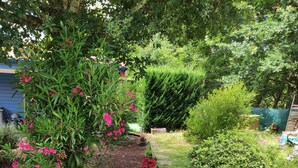 A garden with various plants and flowers, a pathway, and a blue building in the background. - L'Appartement Myrade, pretty T2 on the edge of the forest (Biscarrosse)