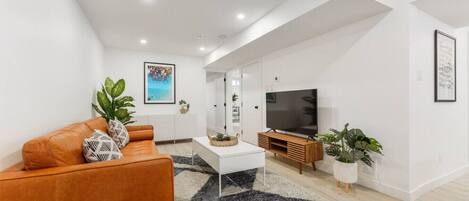 تلفزيون، كُتُب