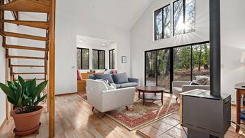 Smart TV, chimenea, reproductor de DVD y libros