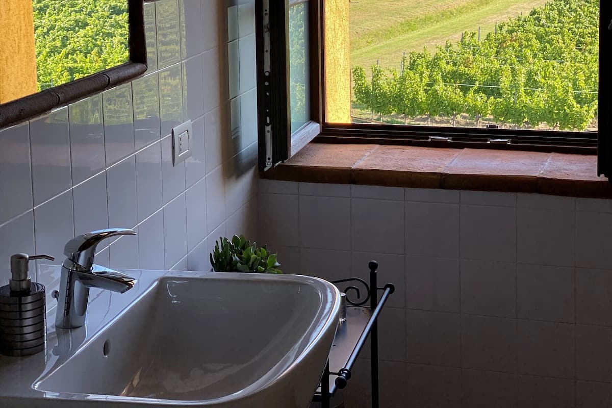 A bathroom with a large sink, a window, and a view of a vineyard.