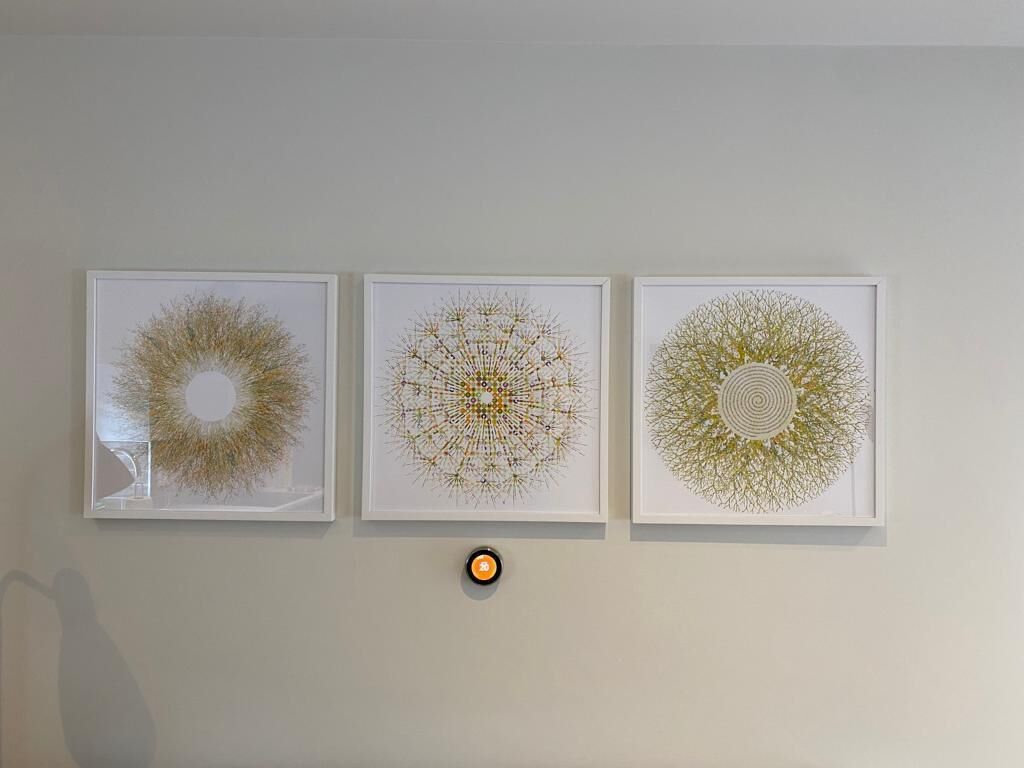 Tres obras de arte enmarcadas en una pared.