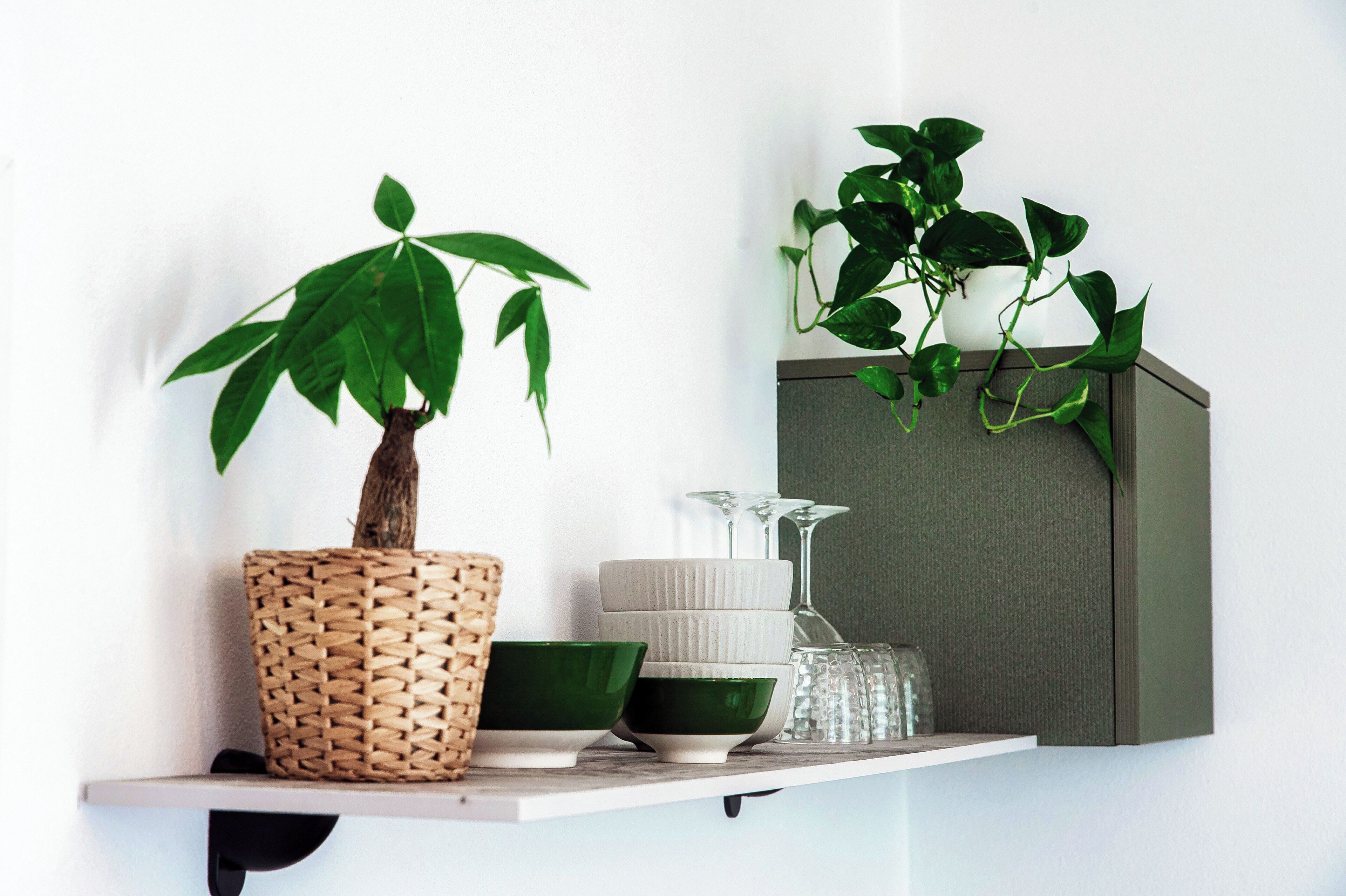 A shelf with a potted plant, stacked bowls, a glass, and a cabinet.