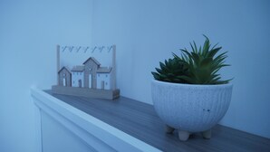 En krukväxt av typen suckulent står på en hylla i trä, och i bakgrunden syns en liten modell av ett hus.