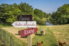 Área da propriedade