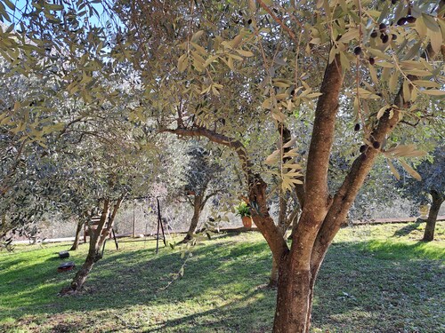 Nico's Nest 5 minutes from Caglieron Caves at the foot of Cansiglio forest