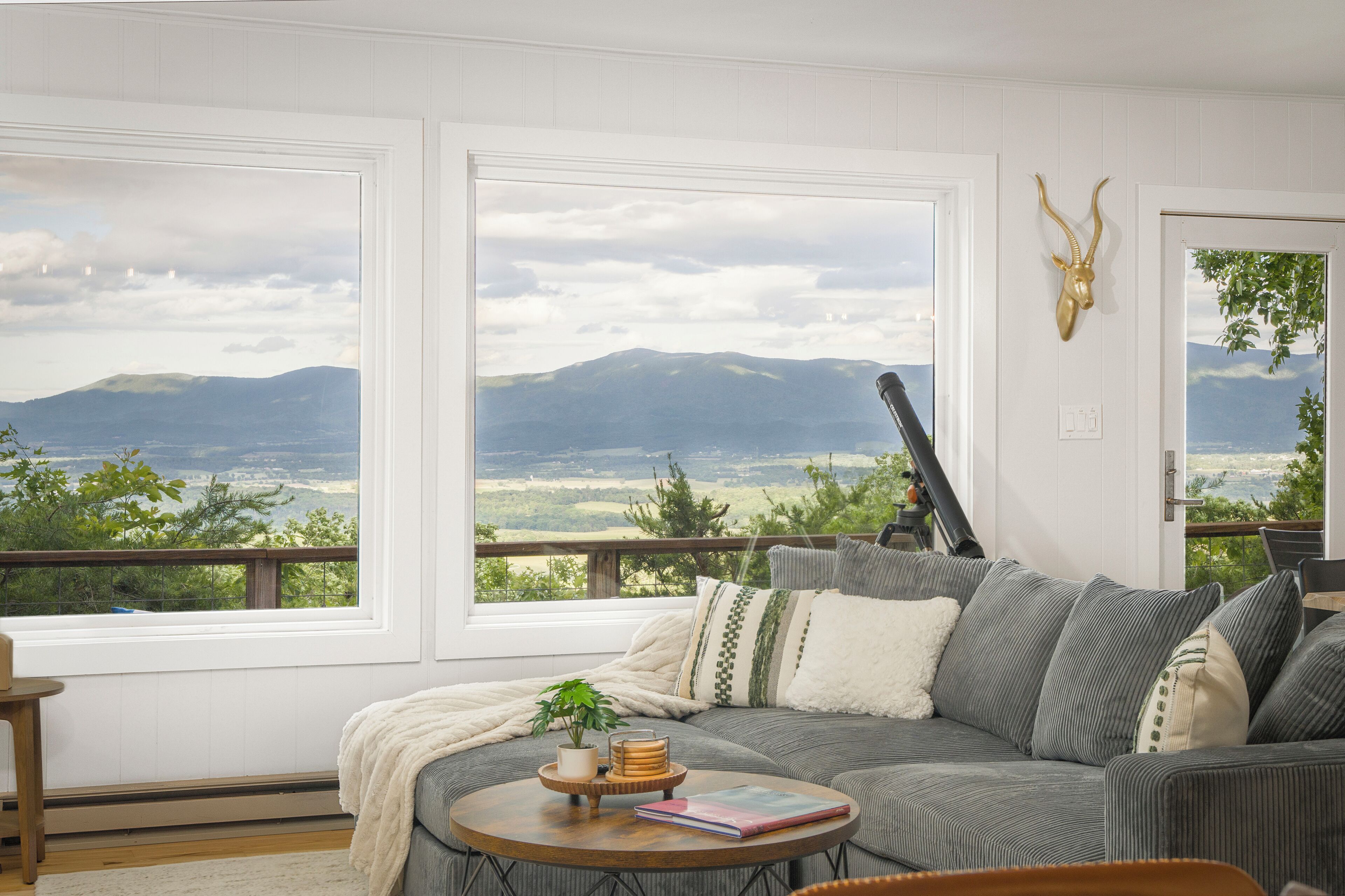 Smart TV, fireplace, books, stereo