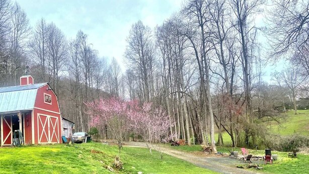 A red barn with a metal roof, a gravel path, and a small clearing with pink flowering trees. - Charming tiny house in the mountains on a goat farm in Murphy, NC (Murphy)