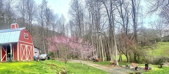 Charming tiny house in the mountains on a goat farm in Murphy, NC