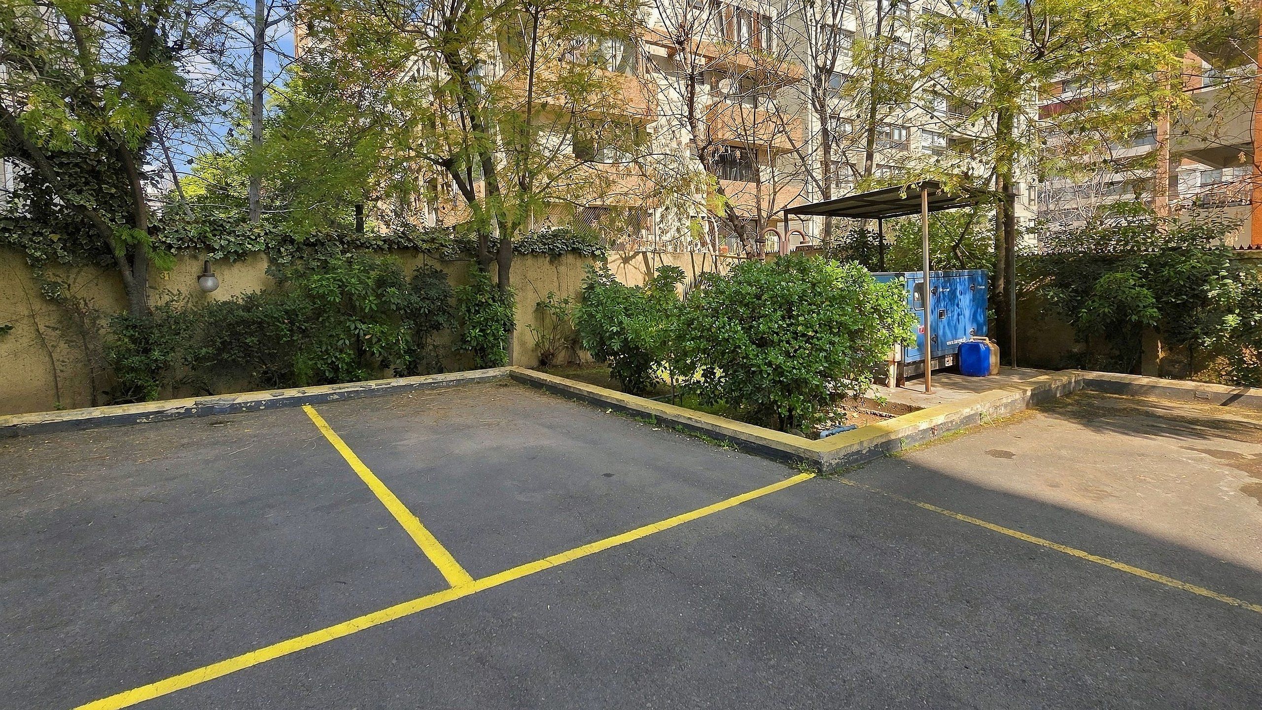 Un estacionamiento con líneas amarillas que delimitan los espacios, rodeado de vegetación y un edificio al fondo.