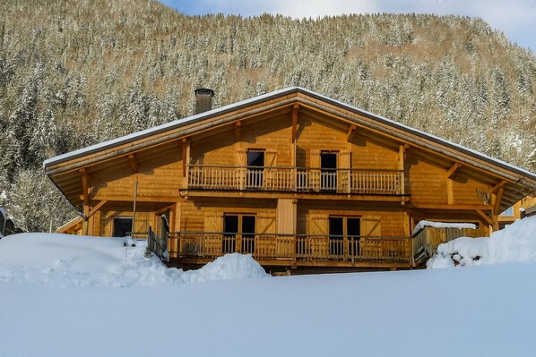 Exterior - COMFORTABLE CHALET IN THE HEART OF THE BAUFORTAIN (Villard-sur-Doron)