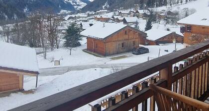 CONFORTABLE CHALET AU COEUR DU BAUFORTAIN