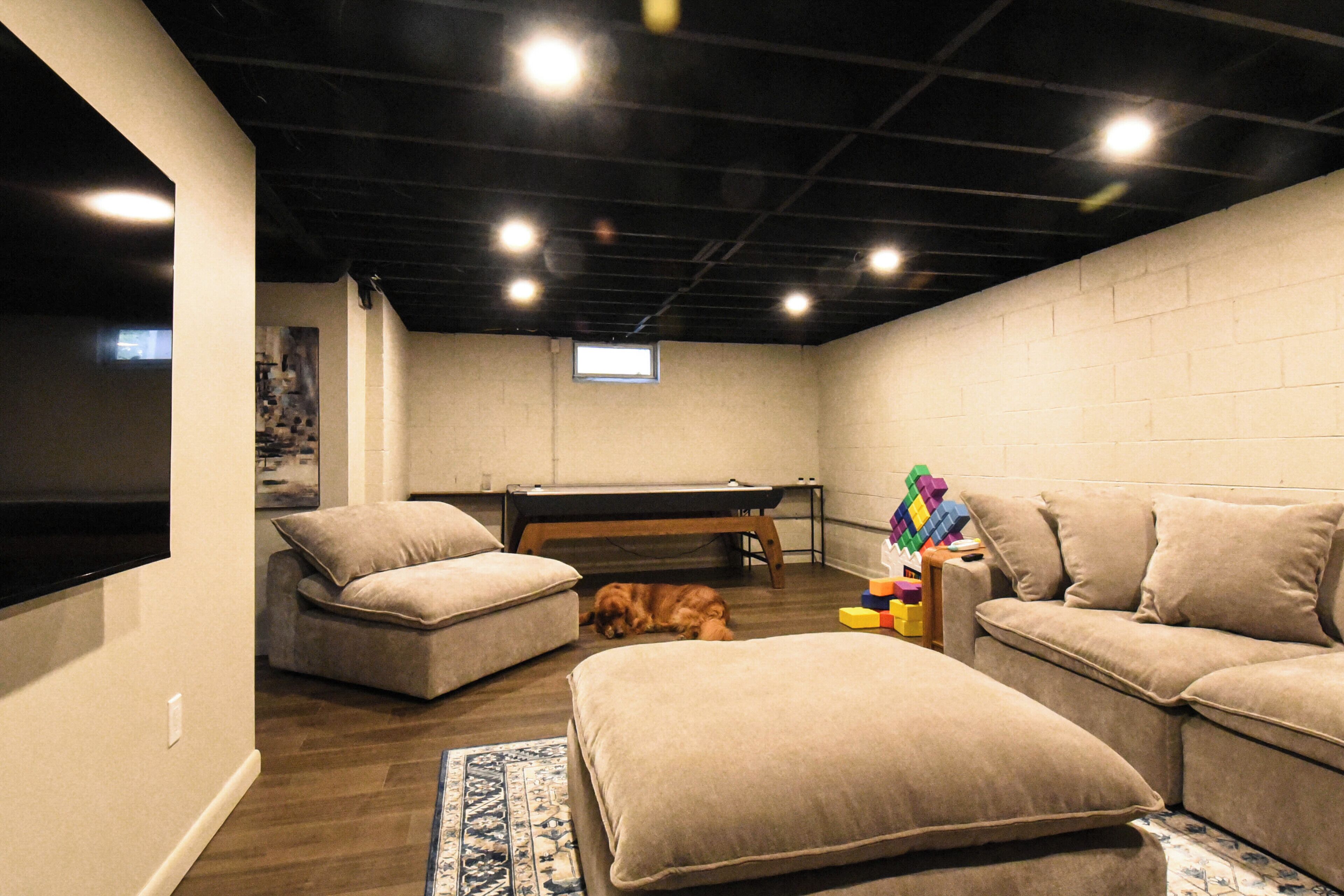 A room with a pool table, two sofas, a dog, and a television.