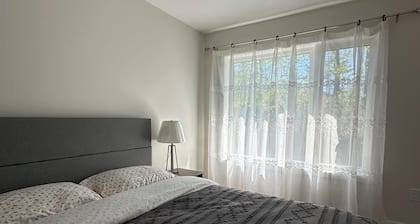 3000SF Modern Cottage Algonquin, Muskoka