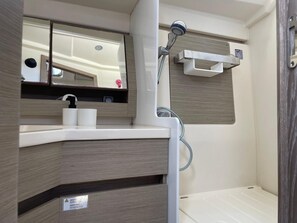 Shower, towels, soap, toilet paper