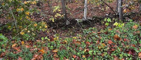 Àrea exterior de l'allotjament