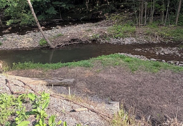 A natural landscape with a stream, rocky terrain, and dense forest.