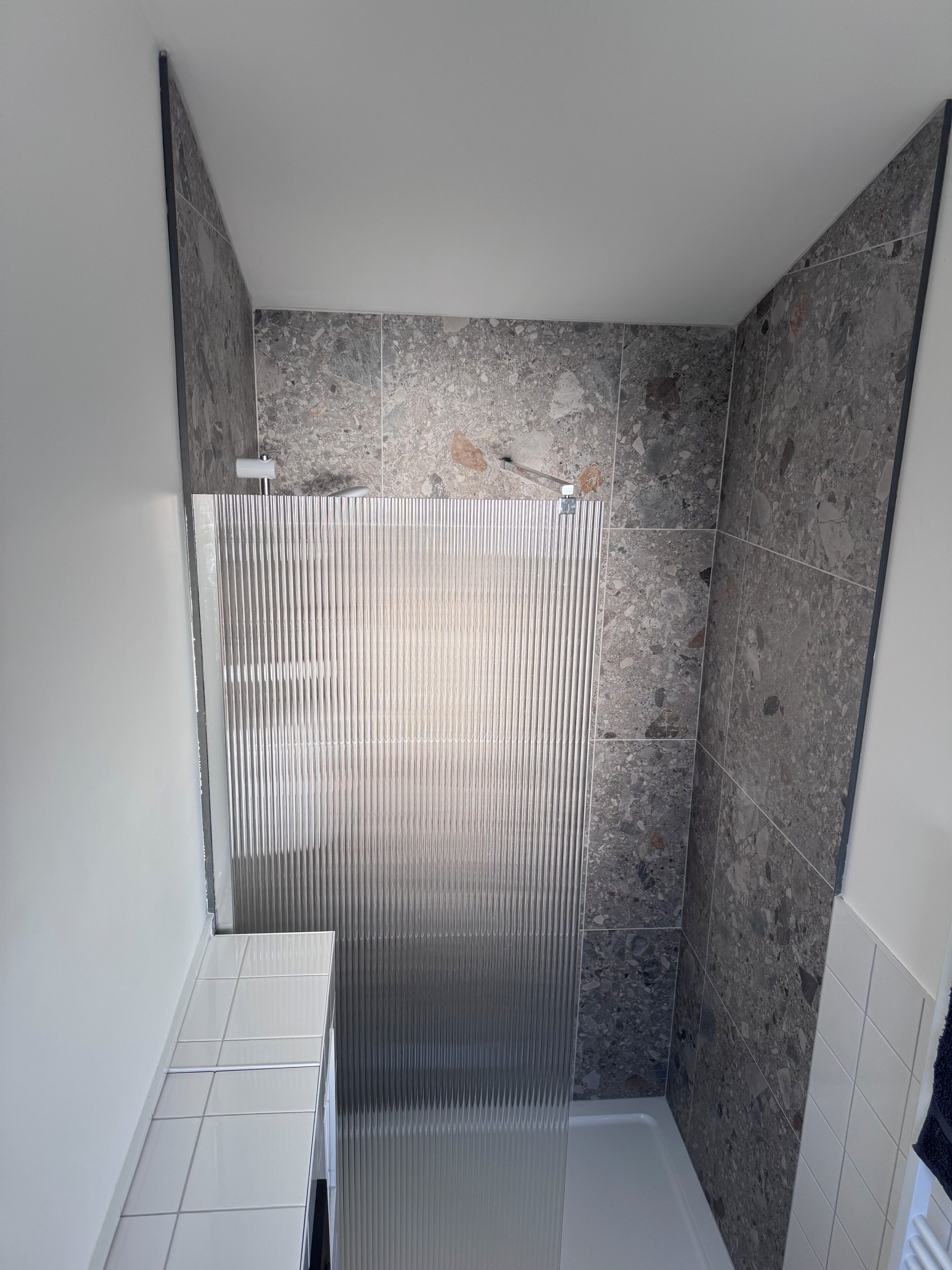 Shower, towels, toilet paper