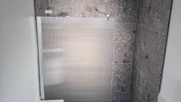 Shower, towels, toilet paper