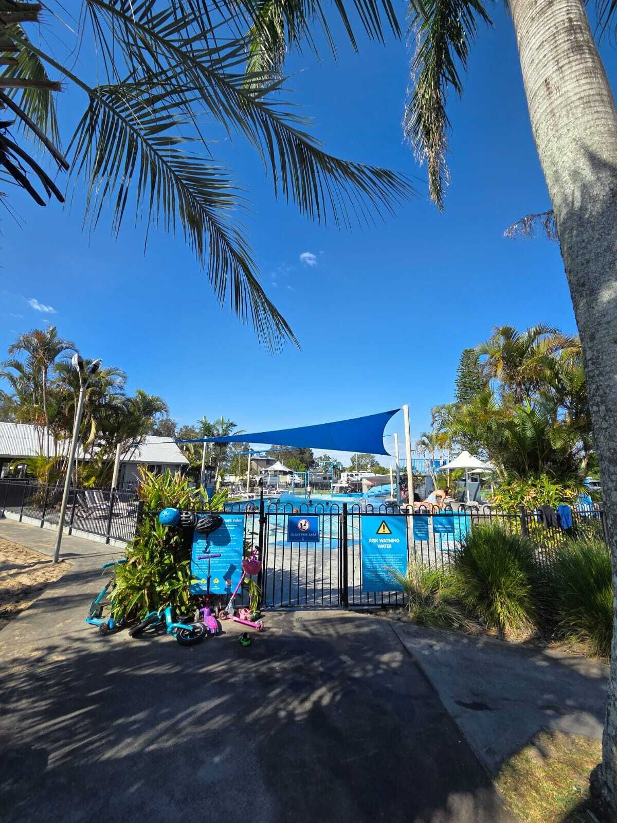 A gated area with a pool, palm trees, and a clear blue sky.