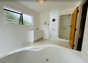 Chuveiro, secador de cabelo, toalhas de banho, sabonete
