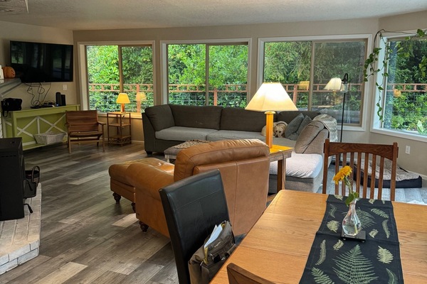 Televisor i llar de foc