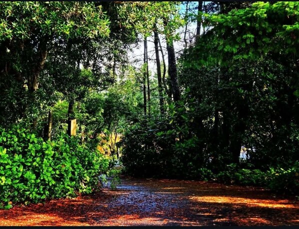 Jardines del alojamiento