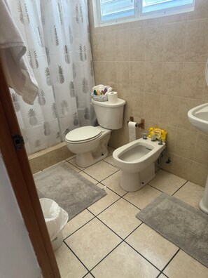 Shower, bidet, towels, soap