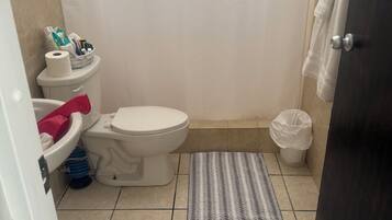 Shower, bidet, towels, soap