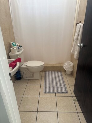 Shower, bidet, towels, soap