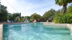 Piscina cristalina com espreguiçadeiras e uma palmeira.