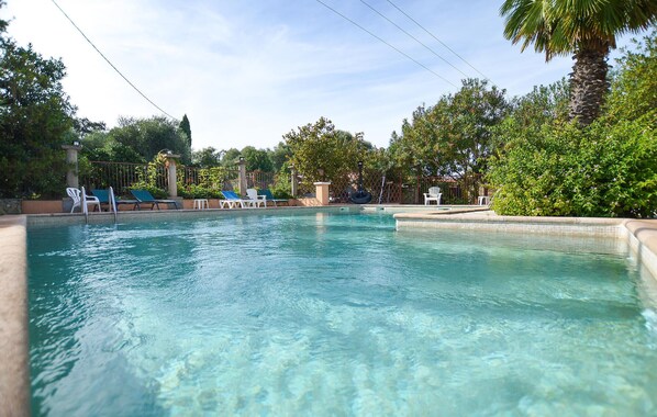 Una piscina cristalina con sillones de descanso y una palmera.