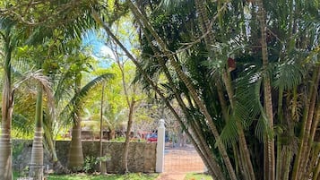 Cabaña clásica, vista a la alberca | Área de sala de estar