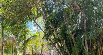 Quinta Flor de Mayo