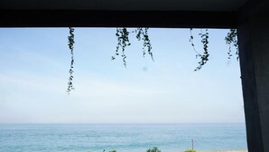 Vista del océano a través de una ventana con plantas colgantes.
