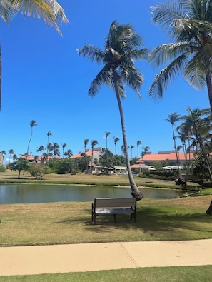 Àrea exterior de l'allotjament