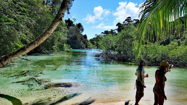 A beach with clear water, palm trees, and a person standing on the sand.