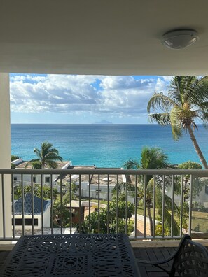 A balcony with a view of the ocean and palm trees.