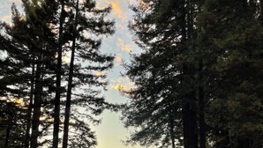 A deck with two chairs overlooking a forested area during sunset. - Beautiful Large Home w Game Room on Private Acreage  (Gualala)
