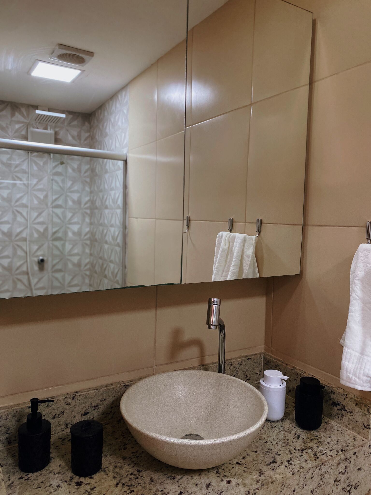 Chuveiro, toalhas de banho, papel higiênico 