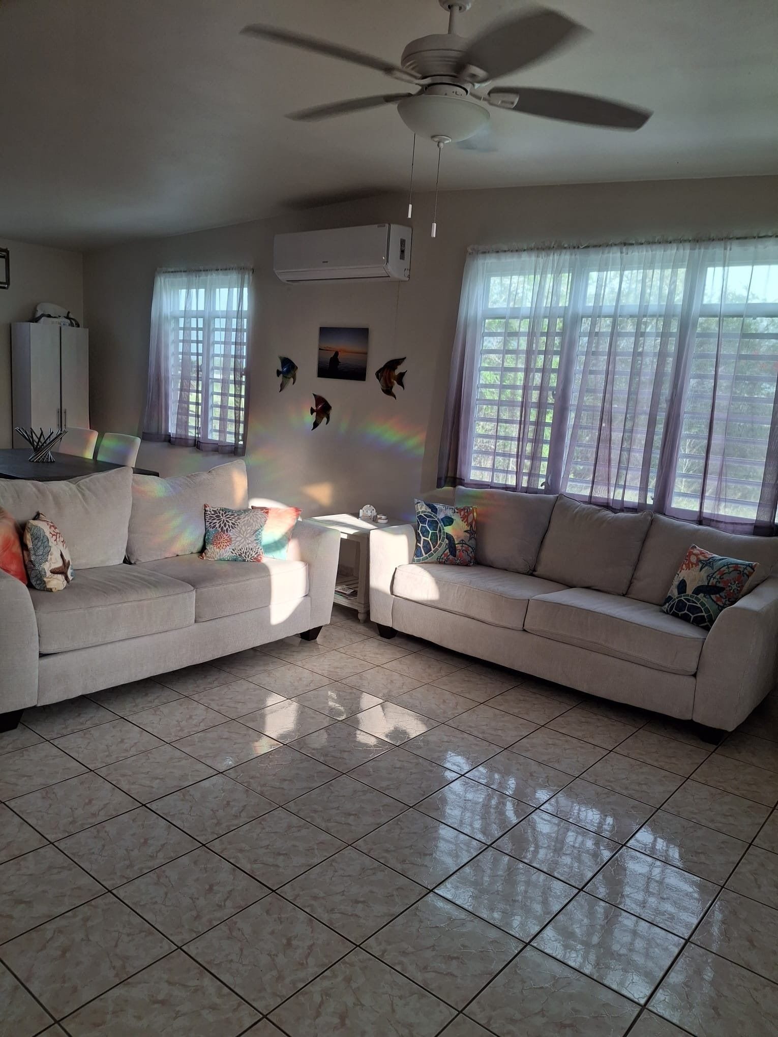 Smart TV, DVD player, video library