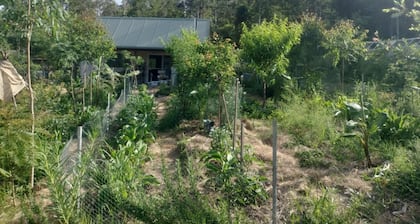 Offgrid Tiny Home in a Food Forest Garden
