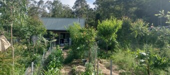 Offgrid Tiny Home in a Food Forest Garden