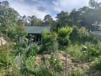 Offgrid Tiny Home in a Food Forest Garden