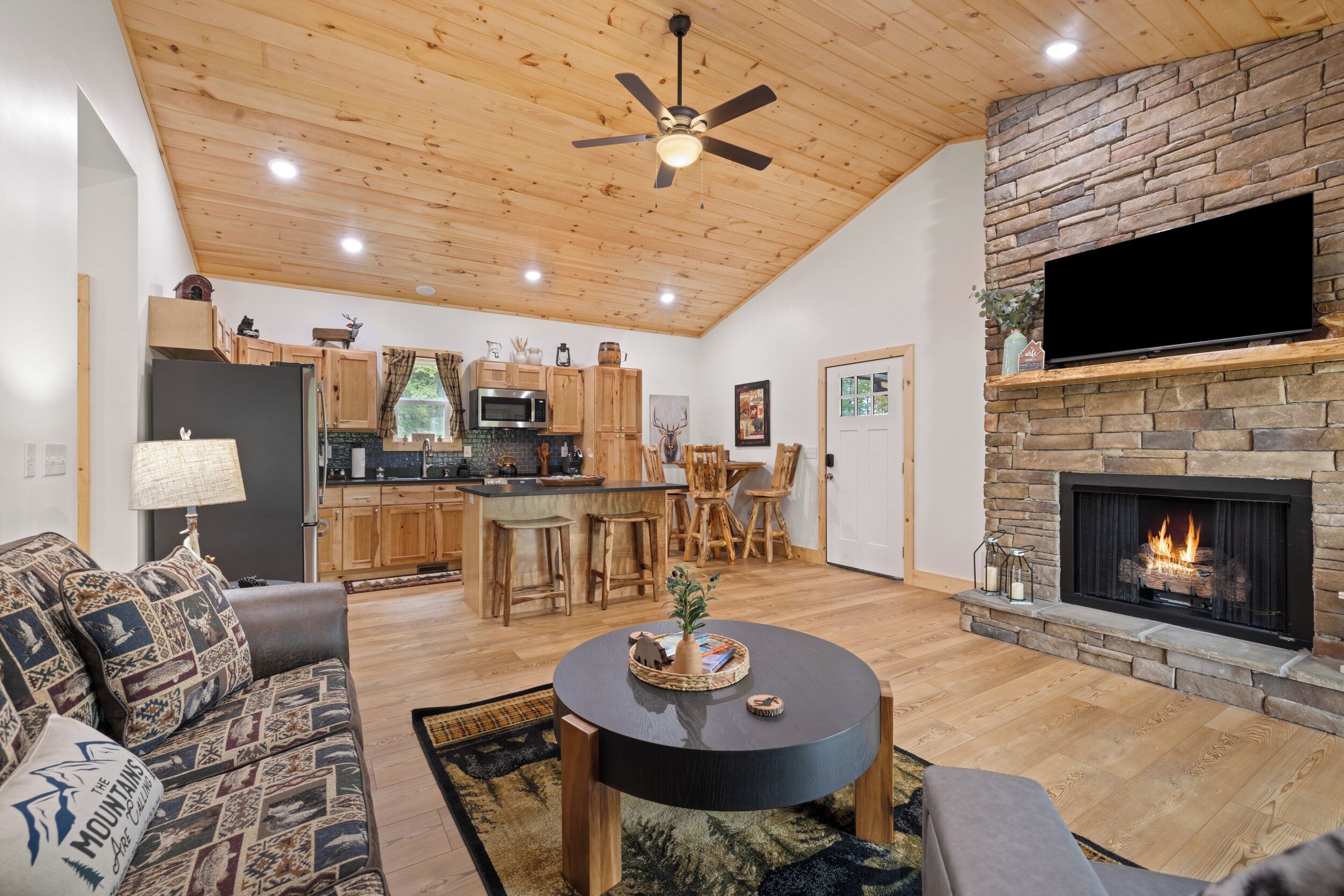 Smart TV, fireplace, books