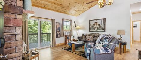 Smart TV, chimenea y libros