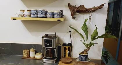 House 2 bedrooms, equipped kitchen, wifi, swimming pool, 30 minutes from Holbox