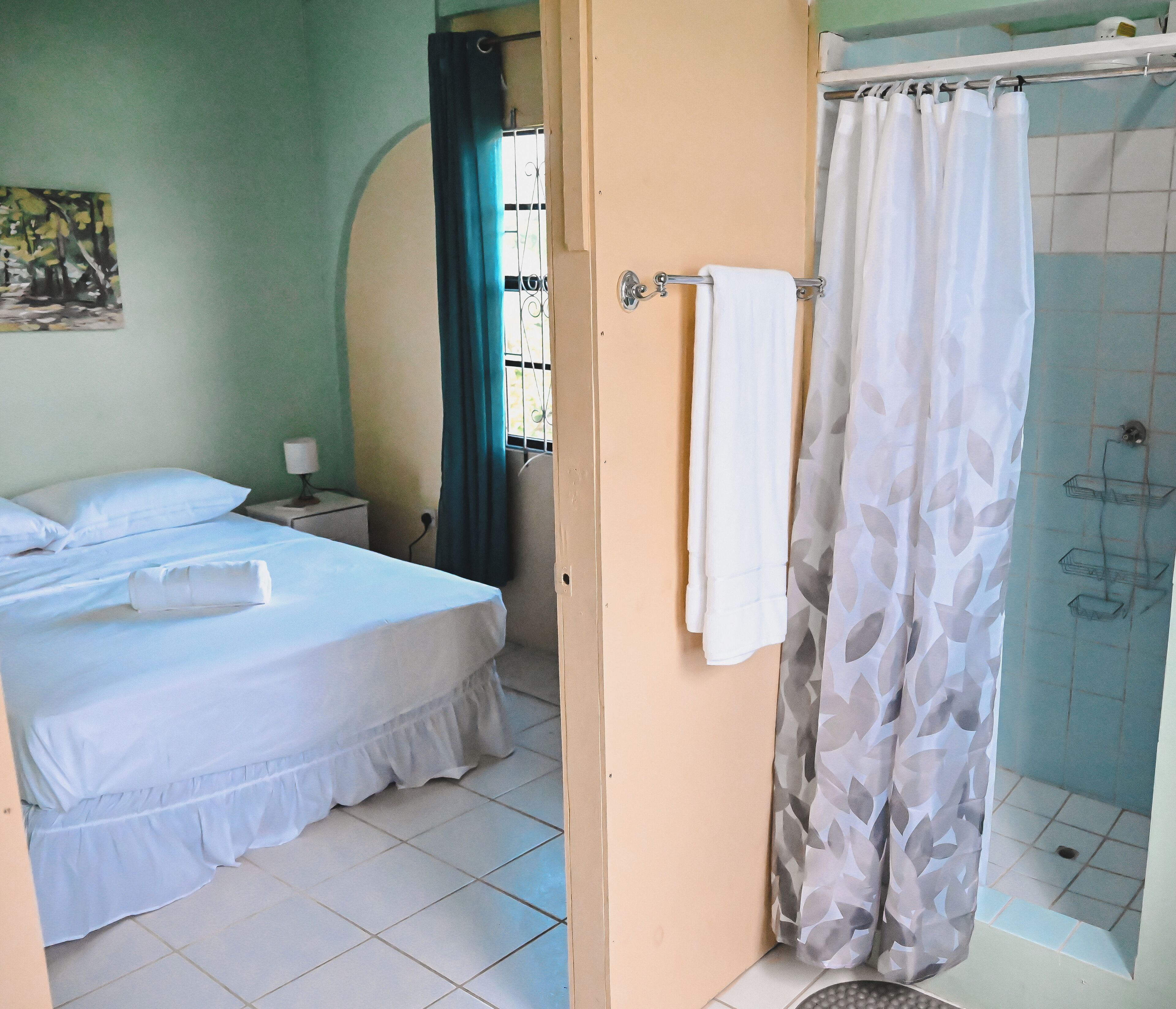 Shower, towels, toilet paper